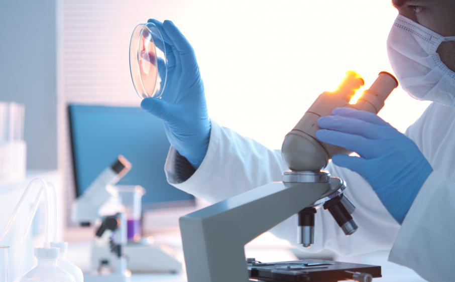 Cigarette électronique : toute l'actualité à votre portée